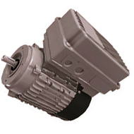    Electric motors, 1-phase 230 V (5-wire, type E)  for greenhouse