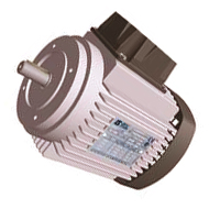   Electric motors, 3-phase 600V\60Hz (type C) for greenhouse