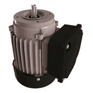   Electric motors, 3-phase wide voltage CSA/UL or CSA (type B) for greenhouse