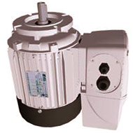 requency controlled electric motors (type I) for greenhouse