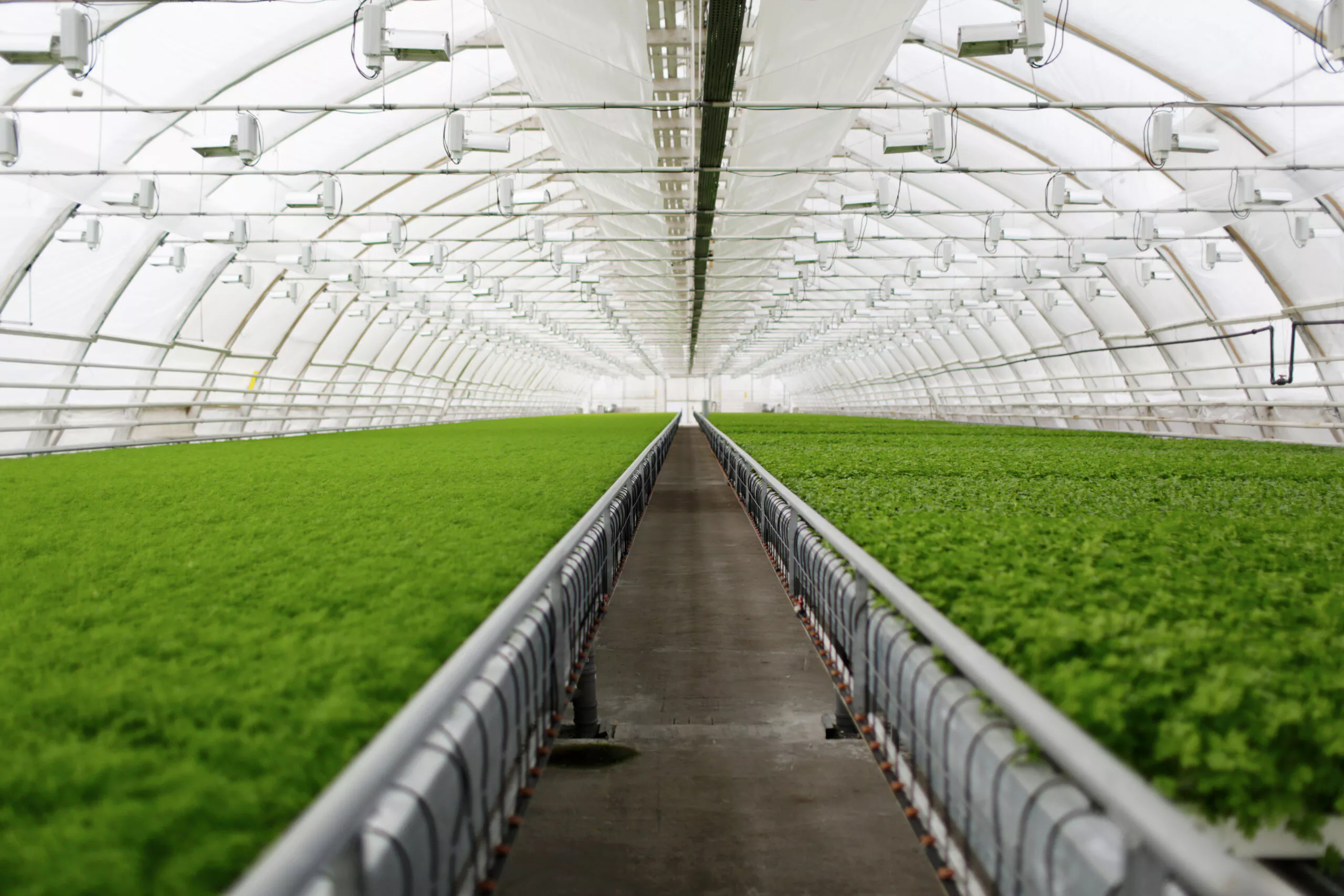 Indoor vertical farm with climate control and automated shading systems